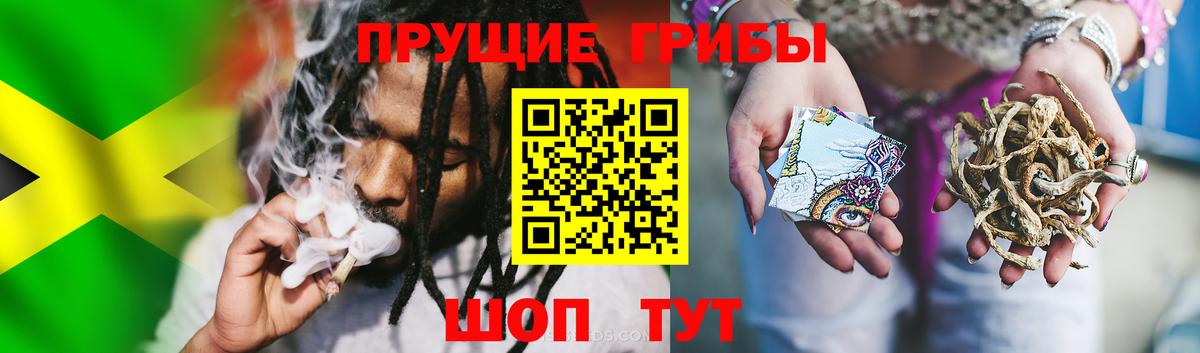 Галлюциногенные грибы Psilocybe  хочу наркоту  Асбест  Вход с VPN 